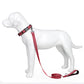 Dog Leash Padded Handle Comfort Reflective Nylon Pet Leash for All Breeds 4ft and 5ft