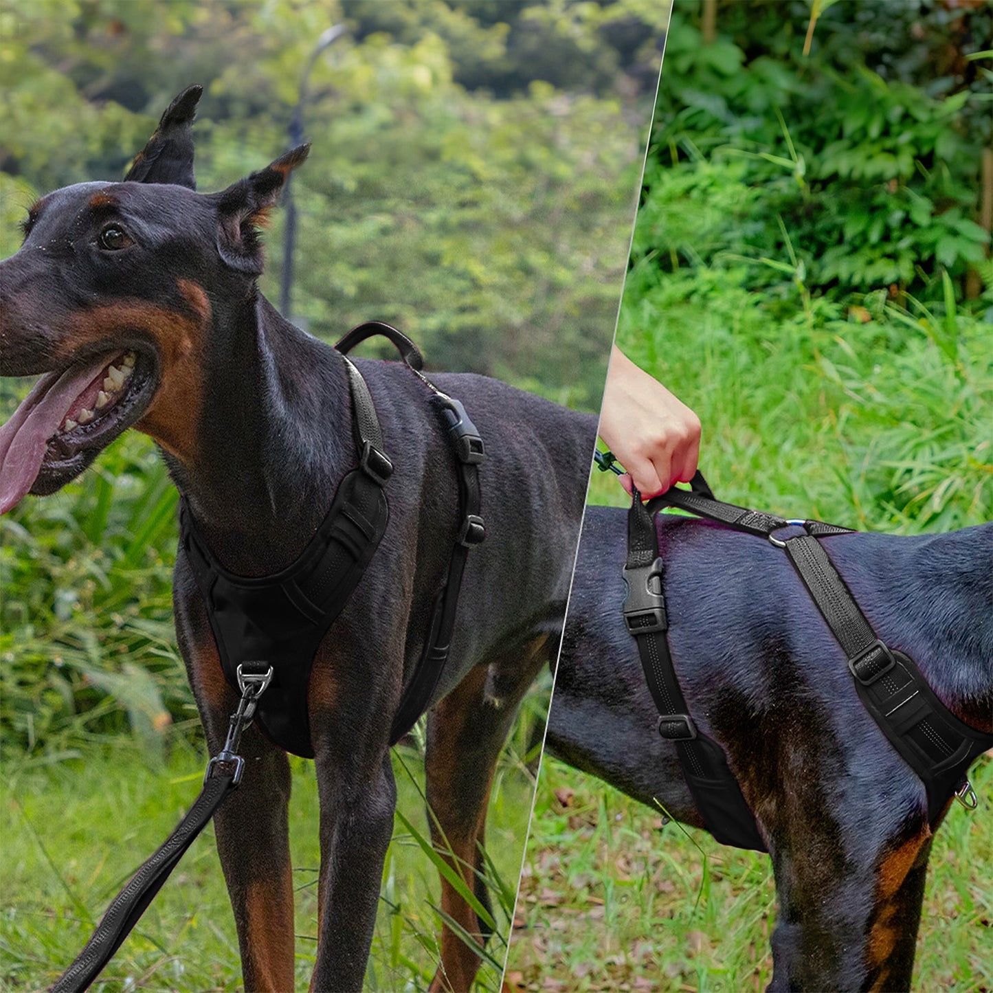 No Pull Dog Harness Reflective Adjustable Breathable Mesh Padded Pet Harness for All Breeds