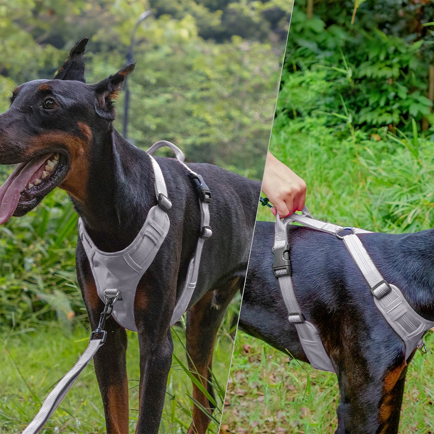 No Pull Dog Harness Reflective Adjustable Breathable Mesh Padded Pet Harness for All Breeds