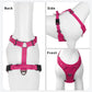 No Pull Dog Harness Reflective Adjustable Breathable Mesh Padded Pet Harness for All Breeds
