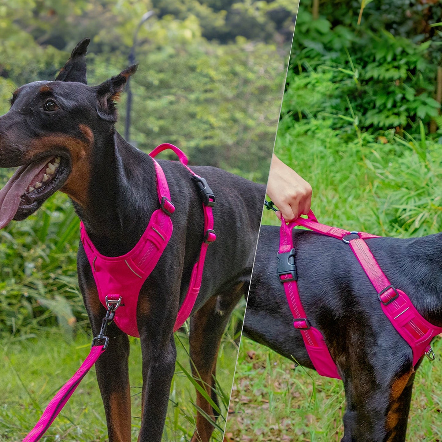 No Pull Dog Harness Reflective Adjustable Breathable Mesh Padded Pet Harness for All Breeds