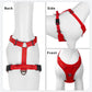 No Pull Dog Harness Reflective Adjustable Breathable Mesh Padded Pet Harness for All Breeds