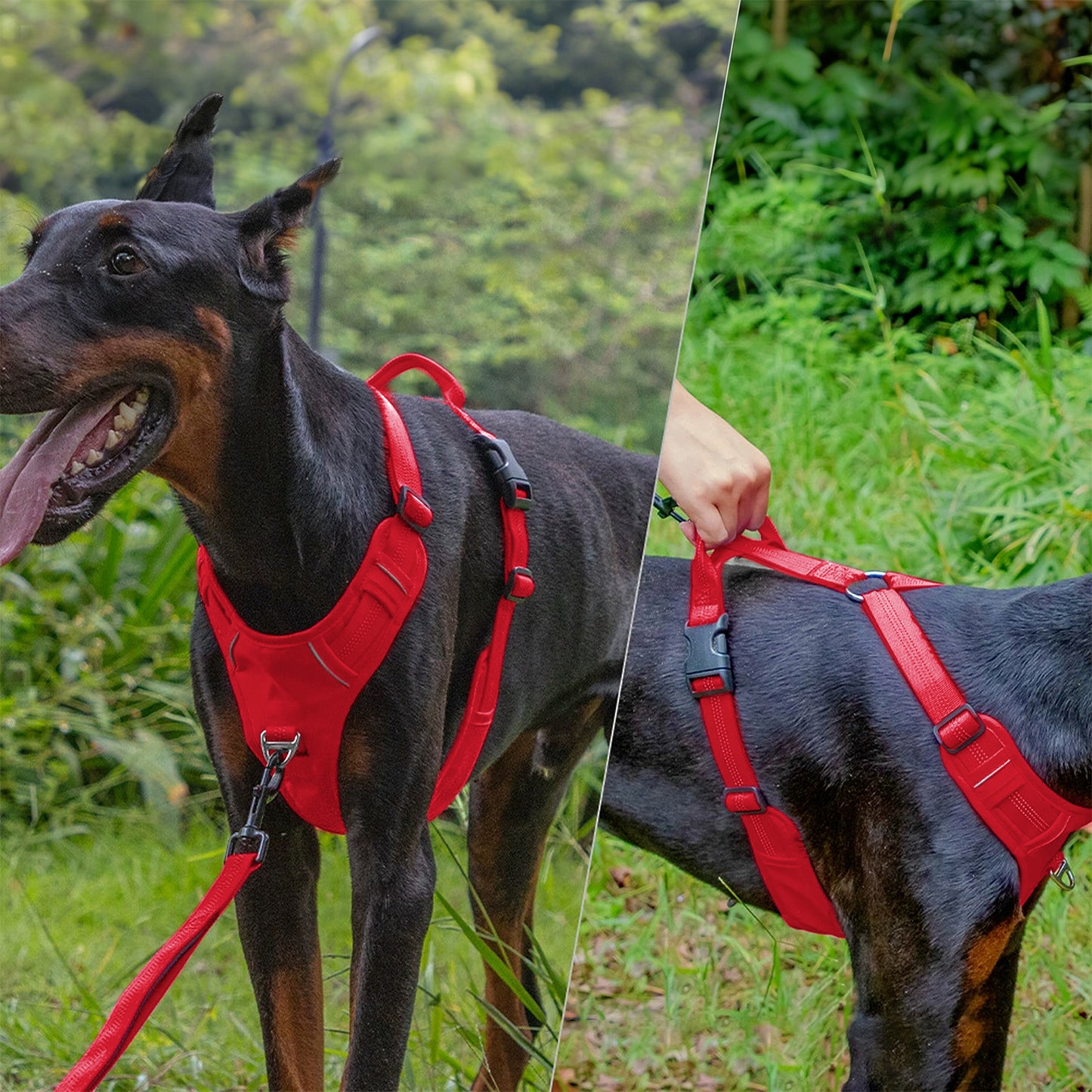 No Pull Dog Harness Reflective Adjustable Breathable Mesh Padded Pet Harness for All Breeds