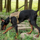 Adventure No Pull Dog Harness Adjustable Soft Padded Comfort Pet Harness Outdoors