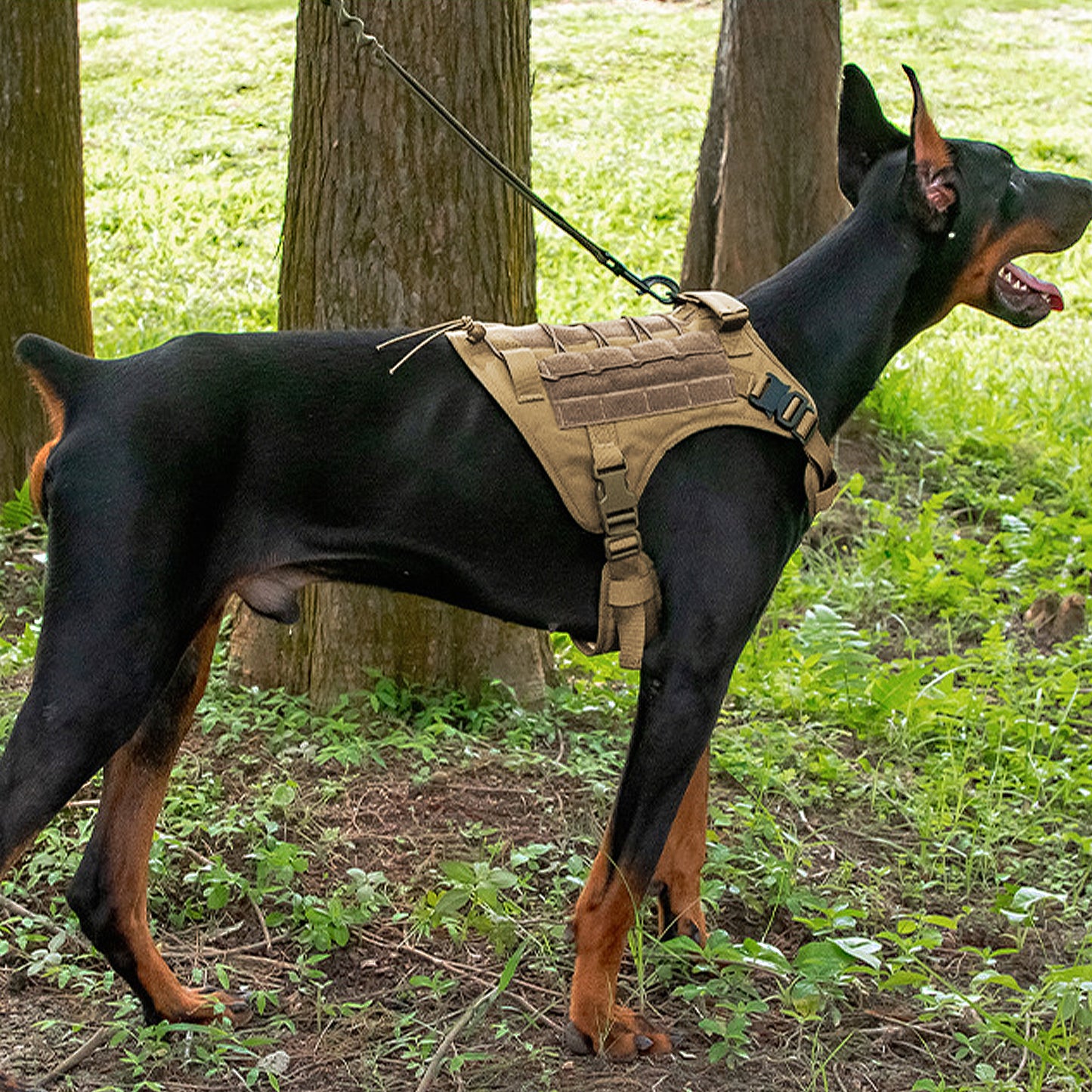 Adventure No Pull Dog Harness Adjustable Soft Padded Comfort Pet Harness Outdoors