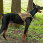 Adventure No Pull Dog Harness Adjustable Soft Padded Comfort Pet Harness Outdoors