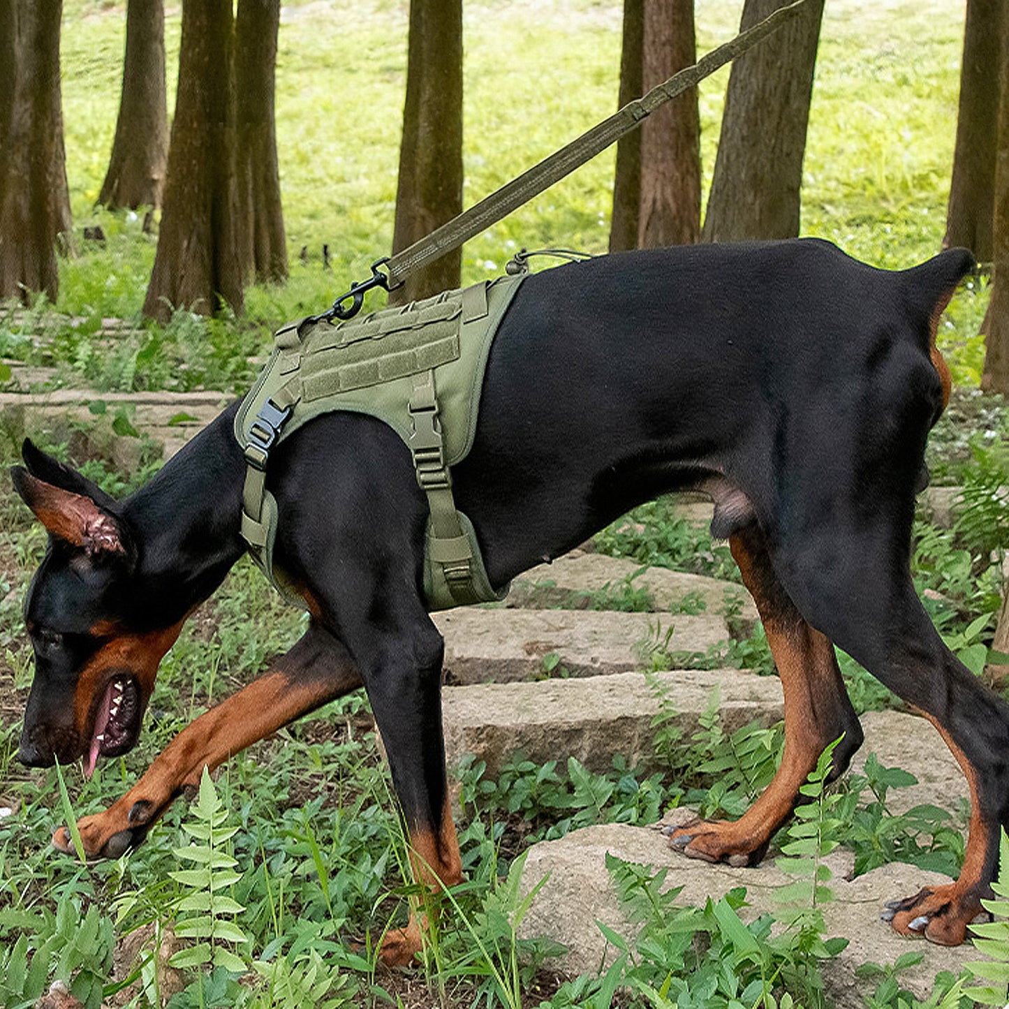 Adventure No Pull Dog Harness Adjustable Soft Padded Comfort Pet Harness Outdoors