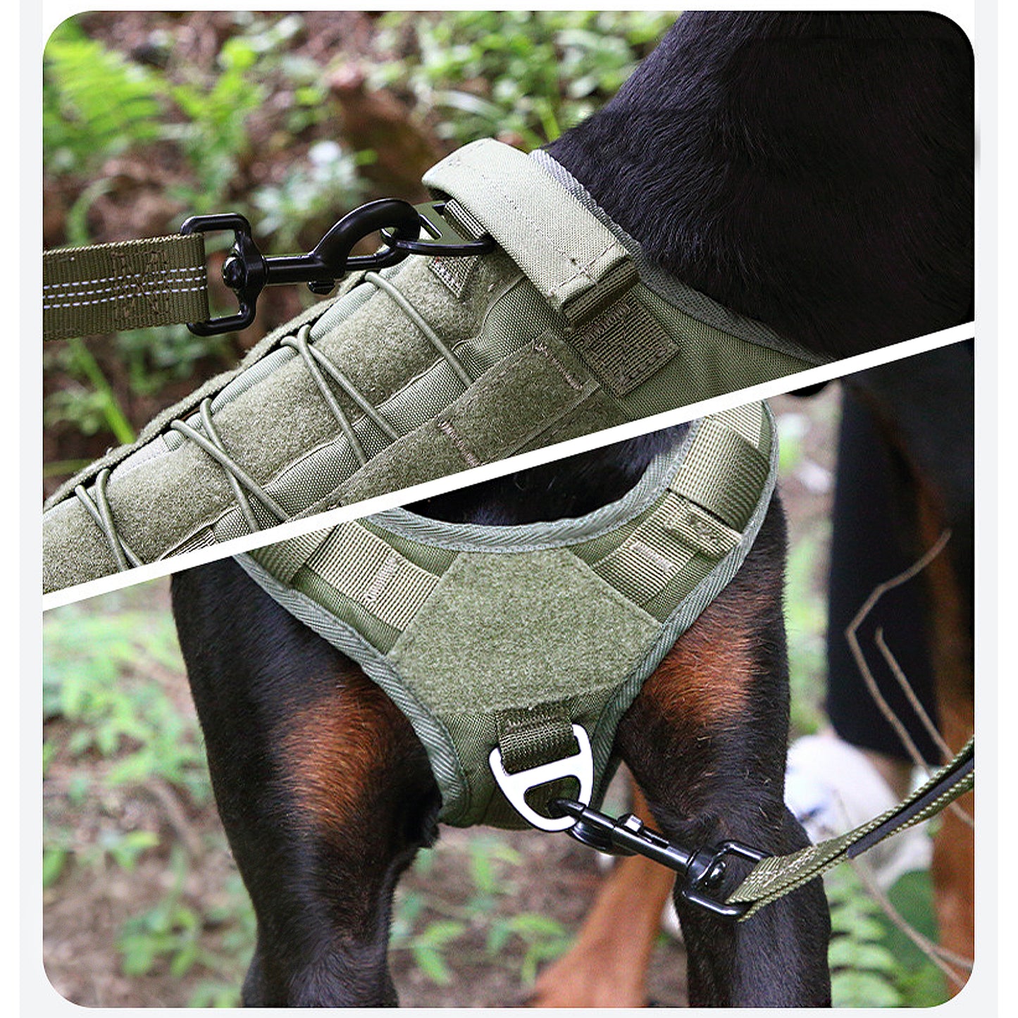 Adventure No Pull Dog Harness Adjustable Soft Padded Comfort Pet Harness Outdoors