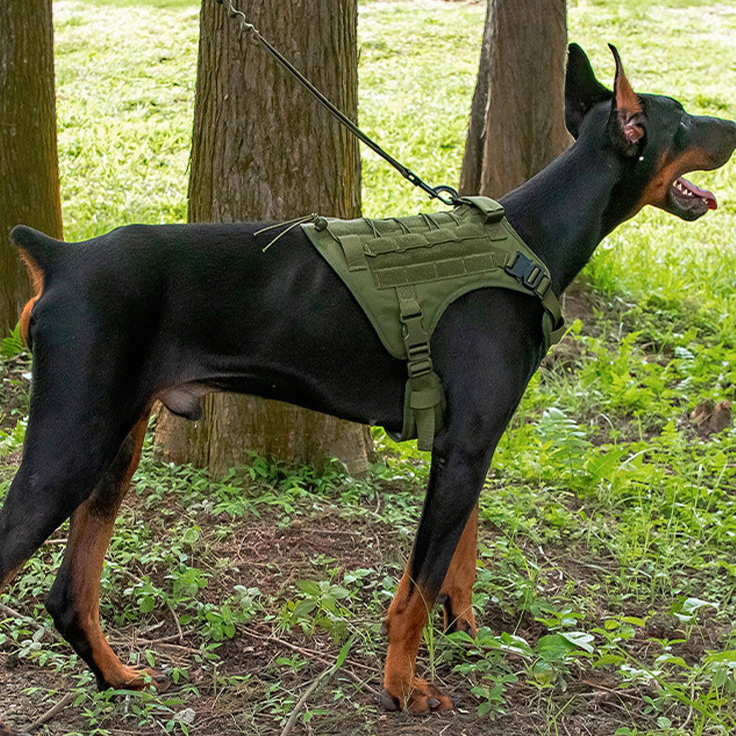 Adventure No Pull Dog Harness Adjustable Soft Padded Comfort Pet Harness Outdoors