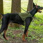 Adventure No Pull Dog Harness Adjustable Soft Padded Comfort Pet Harness Outdoors