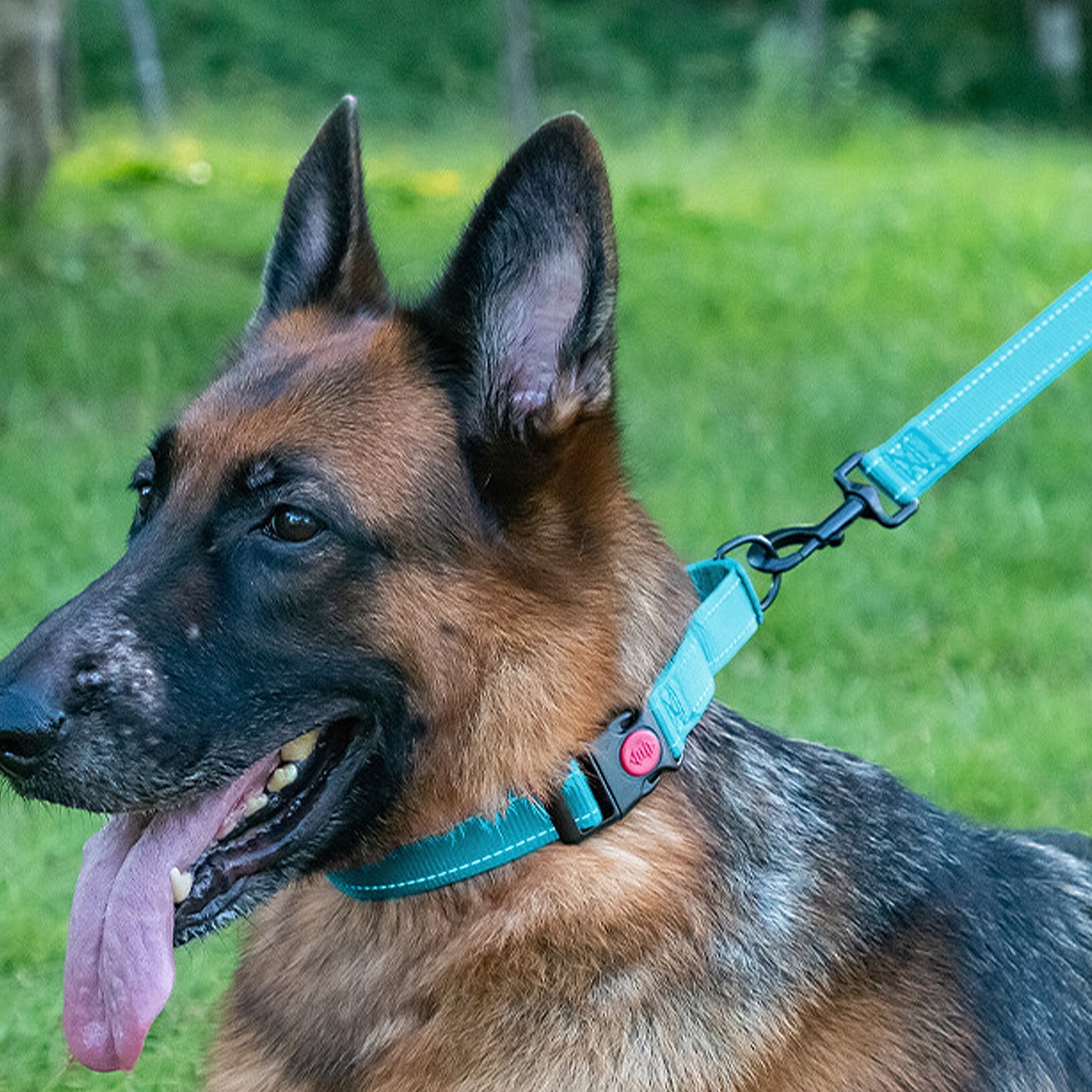 Dog Collar Adjustable Reflective Comfort Nylon Pet Collars for All Breeds