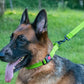 Dog Collar Adjustable Reflective Comfort Nylon Pet Collars for All Breeds