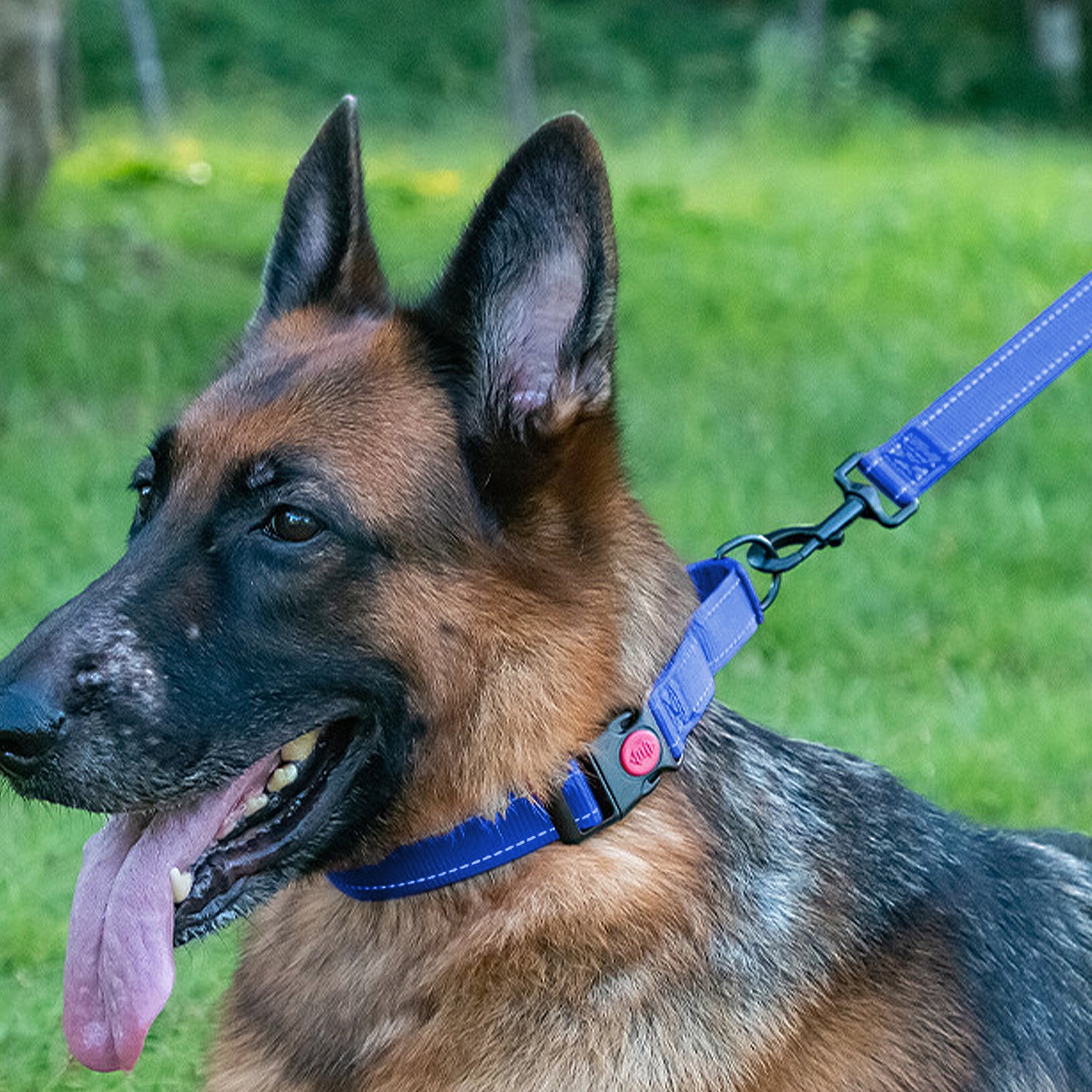 Dog Collar Adjustable Reflective Comfort Nylon Pet Collars for All Breeds