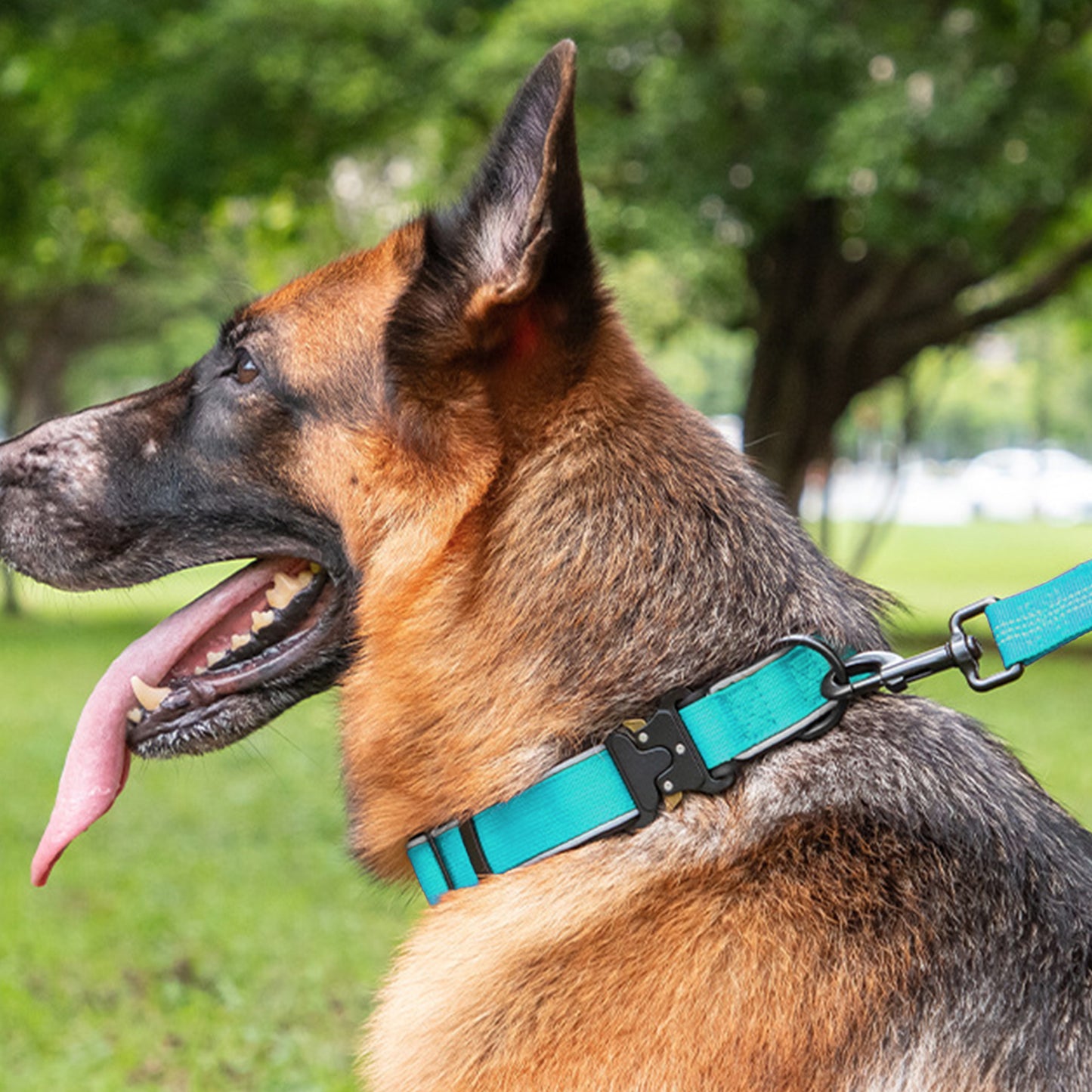 Dog Collar Reflective Comfort Padded Adjustable Adventure Nylon Pet Collars for All Breeds