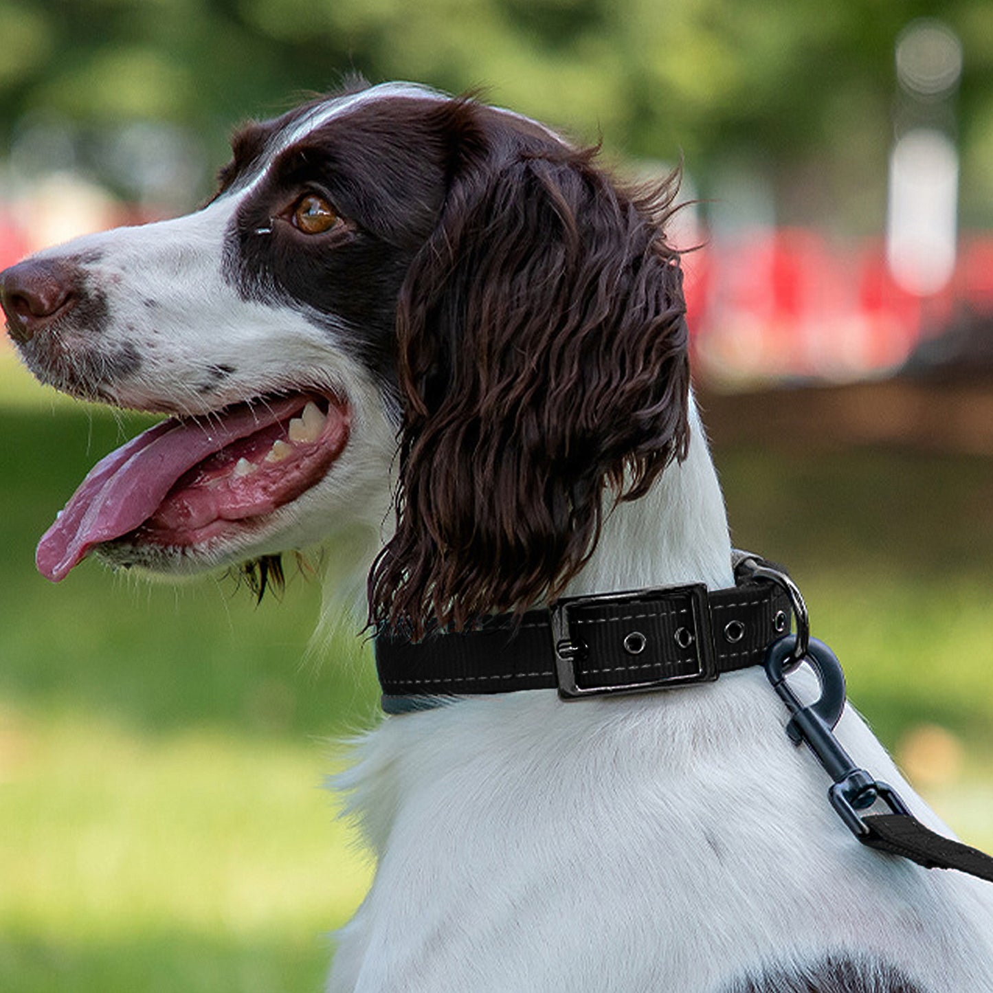 Dog Collar Reflective Adjustable Comfort Padded Nylon Pet Collars with Durable Metal Belt Buckle