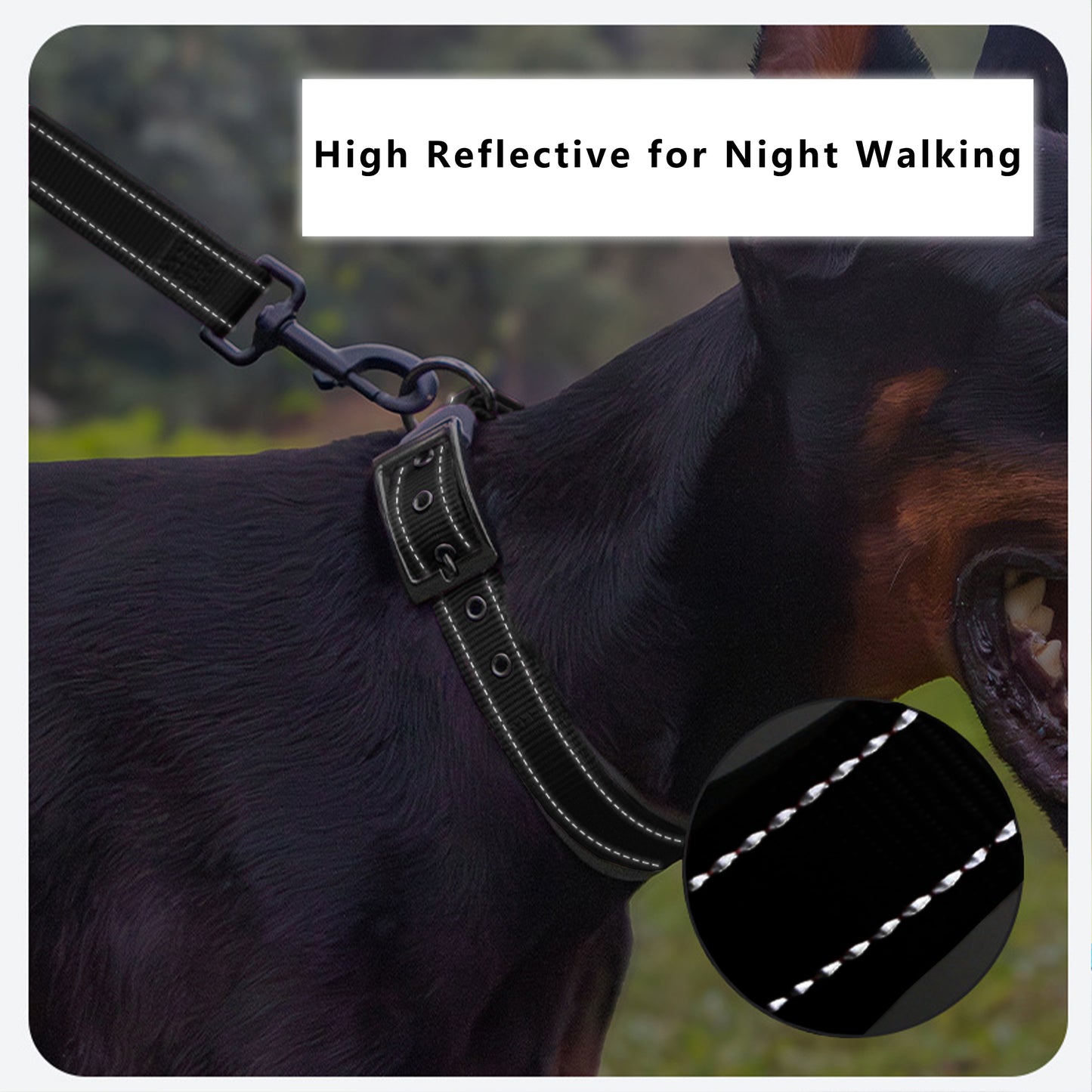 Dog Collar Reflective Adjustable Comfort Padded Nylon Pet Collars with Durable Metal Belt Buckle