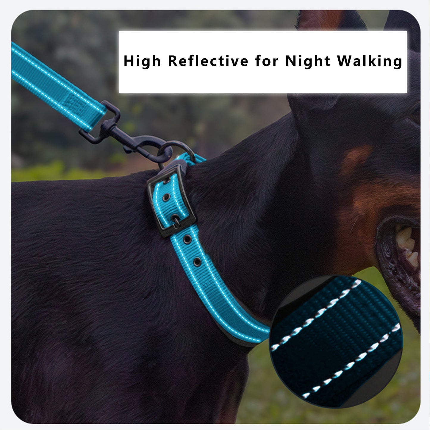 Dog Collar Reflective Adjustable Comfort Padded Nylon Pet Collars with Durable Metal Belt Buckle