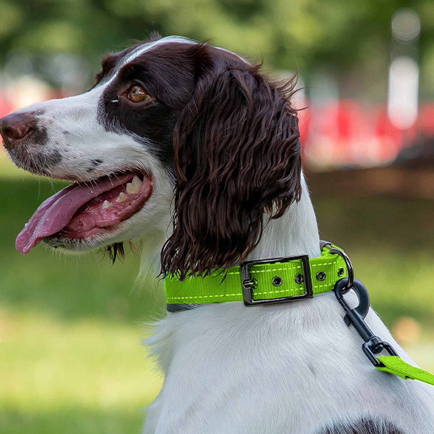 Dog Collar Reflective Adjustable Comfort Padded Nylon Pet Collars with Durable Metal Belt Buckle