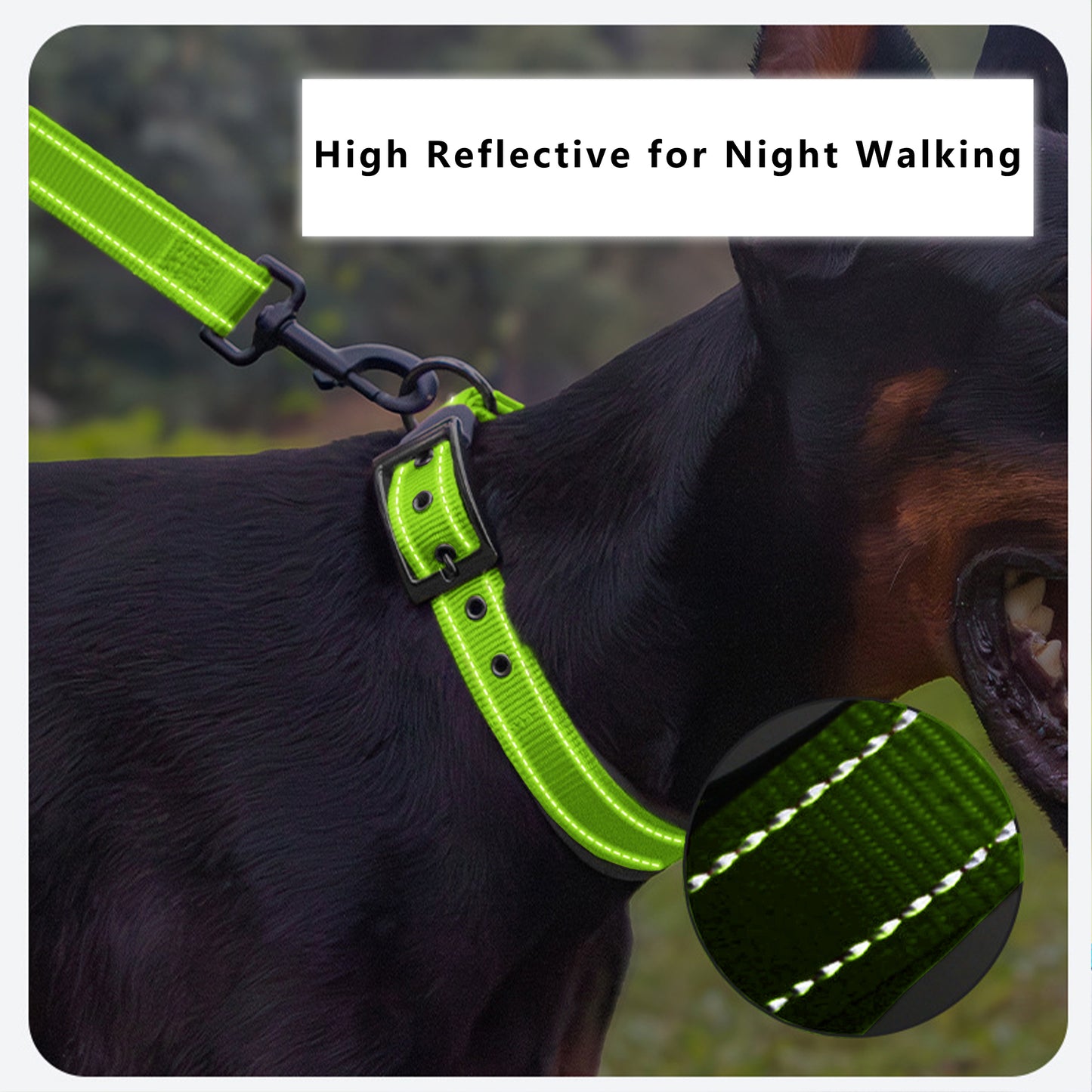 Dog Collar Reflective Adjustable Comfort Padded Nylon Pet Collars with Durable Metal Belt Buckle