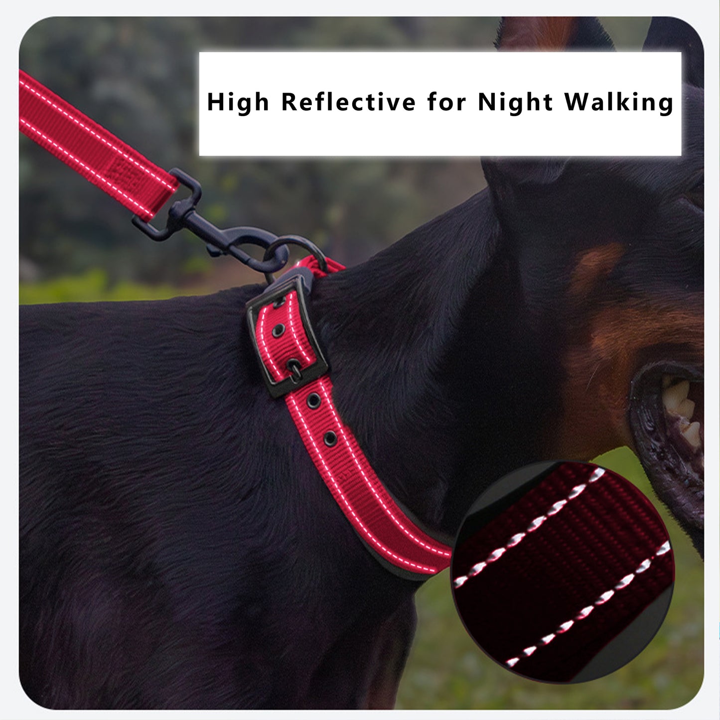 Dog Collar Reflective Adjustable Comfort Padded Nylon Pet Collars with Durable Metal Belt Buckle