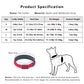 Dog Collar Reflective Adjustable Comfort Padded Nylon Pet Collars with Durable Metal Belt Buckle