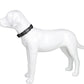 Dog Collar Reflective Soft Padded Adjustable Comfort Nylon Collars for All Breeds