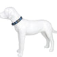 Dog Collar Reflective Soft Padded Adjustable Comfort Nylon Collars for All Breeds