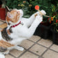 Interactive Cat Toys Bouncy Ball with Natural Feathers for Indoor Cats and Kittens 3 PCs Set