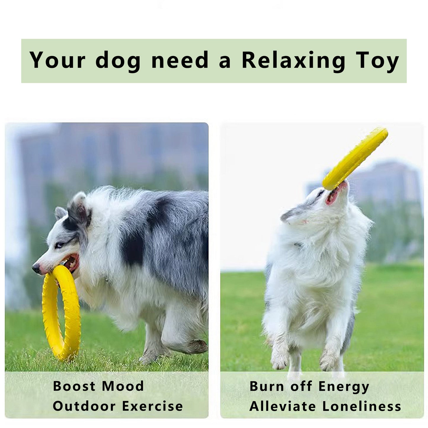 Dog Flying Disc, Ring Puller for Outdoor Play, Floating Training & Fetch Toy for Throwing Catching & Chewers
