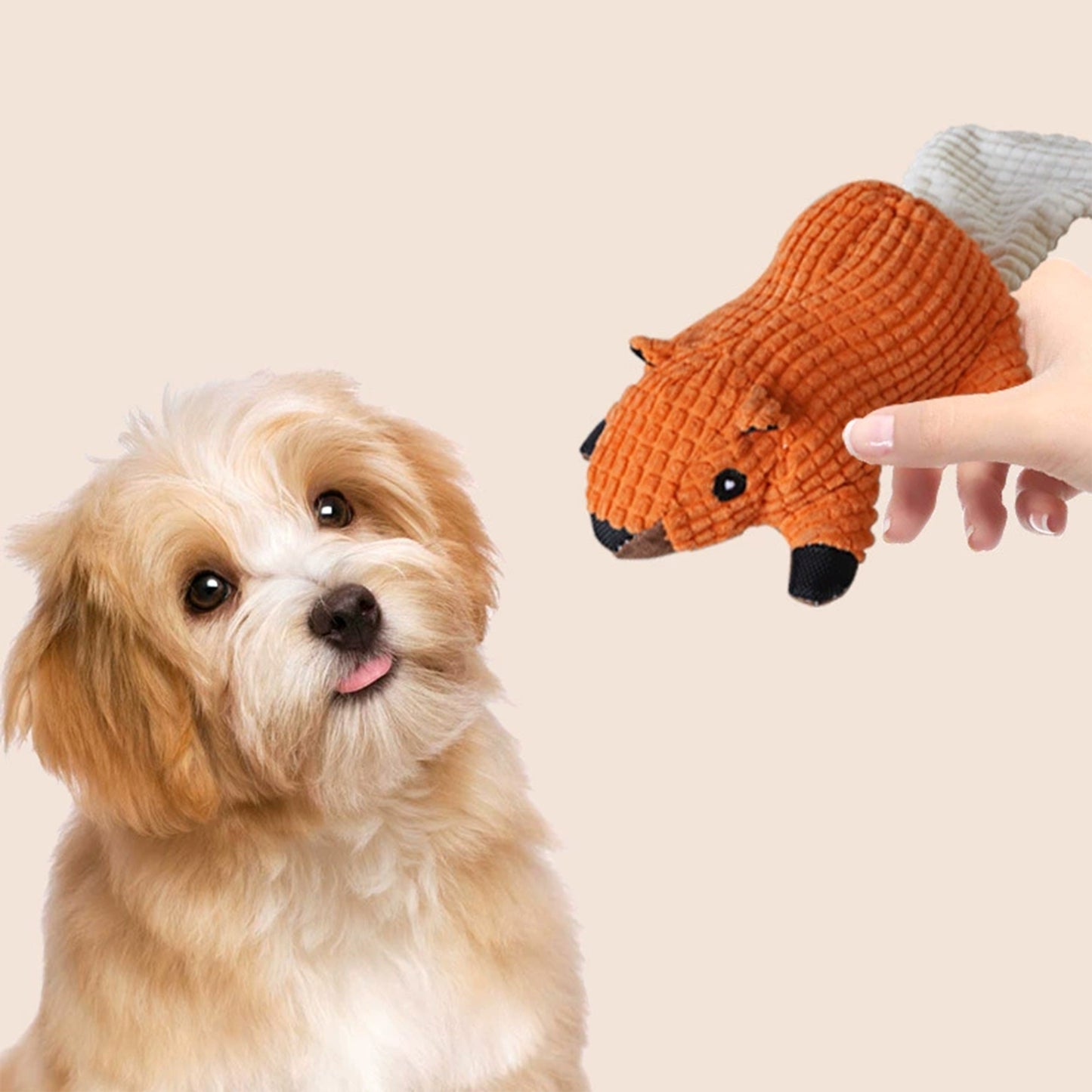 Interactive Dog Plush Squirrel Toys, Squeaky Pet Chew Toys for Small Medium Large Dogs & Puppies