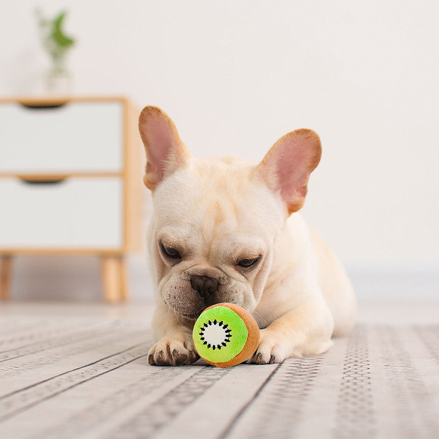 Interactive Dog Plush Squeaky Chew Toys for Pet Training, Puppy Teeth Cleaning