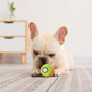 Interactive Dog Plush Squeaky Chew Toys for Pet Training, Puppy Teeth Cleaning