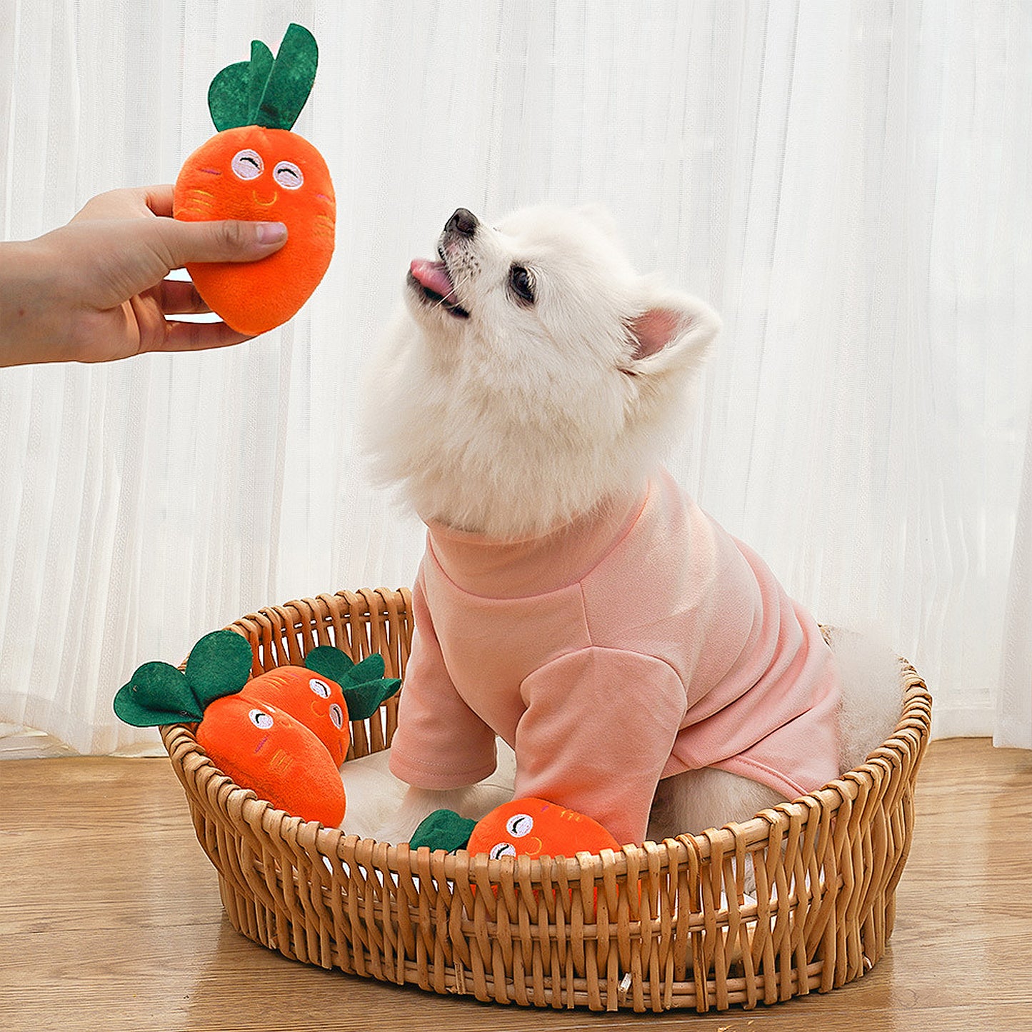 Interactive Dog Plush Squeaky Chew Toys for Pet Training, Puppy Teeth Cleaning, Carrot Shape