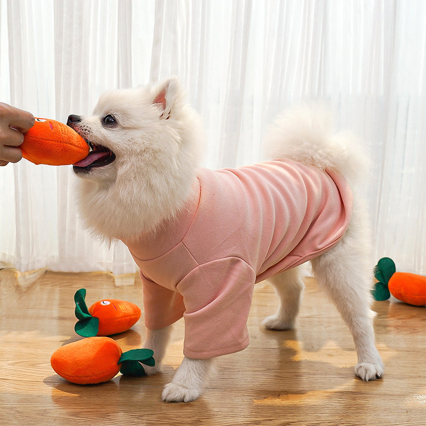 Interactive Dog Plush Squeaky Chew Toys for Pet Training, Puppy Teeth Cleaning, Carrot Shape