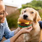 Interactive Dog Simulation Fast Food Themed Plush Squeaky Toys for Pet Training, Puppy Chewing