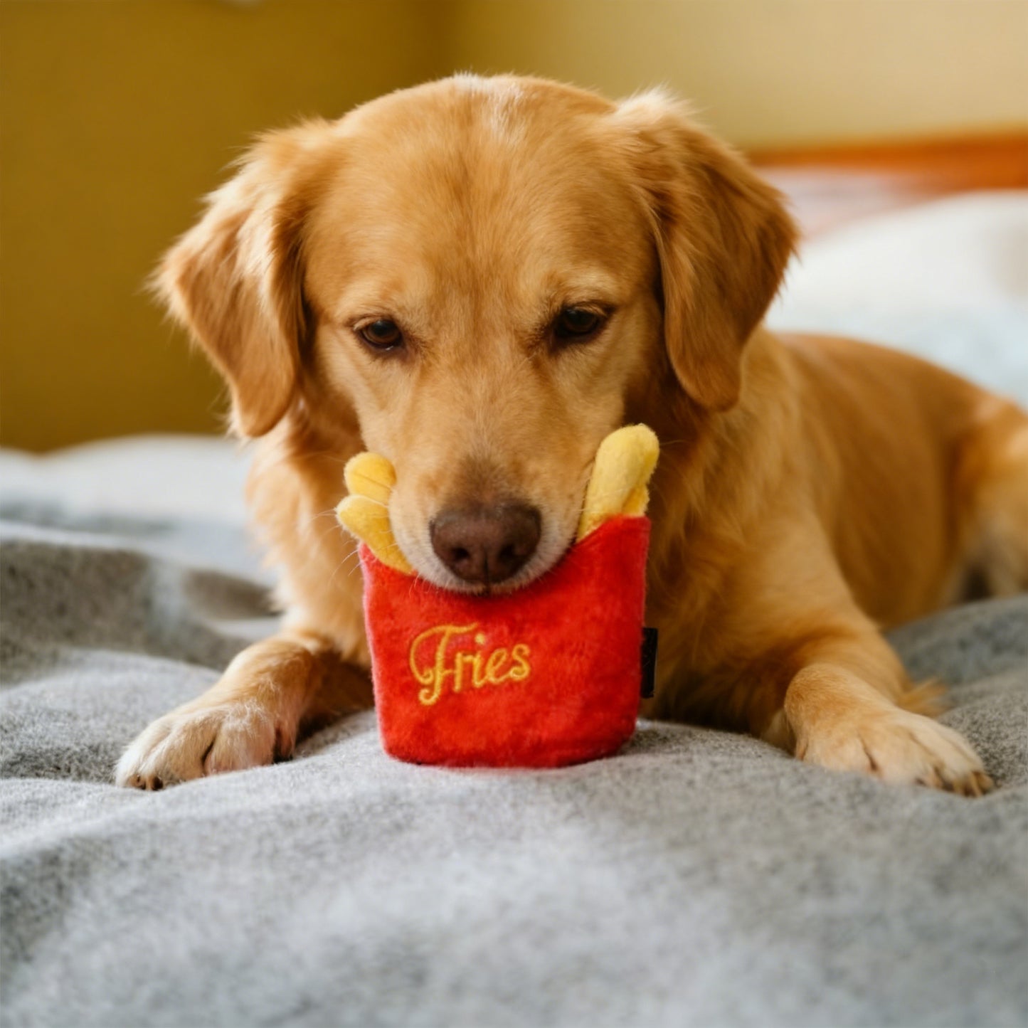 Interactive Dog Simulation Fast Food Themed Plush Squeaky Toys for Pet Training, Puppy Chewing