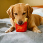 Interactive Dog Simulation Fast Food Themed Plush Squeaky Toys for Pet Training, Puppy Chewing