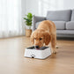 No Spill Dog Water Bowl with Floating Disk, Removable Design and Easy Clean Construction, 34oz