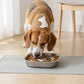 Stainless Steel Slow Feeder Dog Bowl with Raised Center Design and Easy Clean Interior
