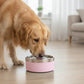 Stainless Steel Dog Bowl with Non-Slip Base and Removable Inner Bowl
