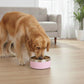 Stainless Steel Dog Bowl with Non-Slip Base and Removable Inner Bowl