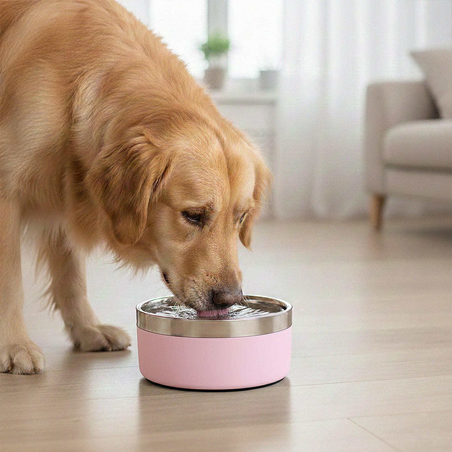 Stainless Steel Dog Bowl with Non-Slip Base and Removable Inner Bowl