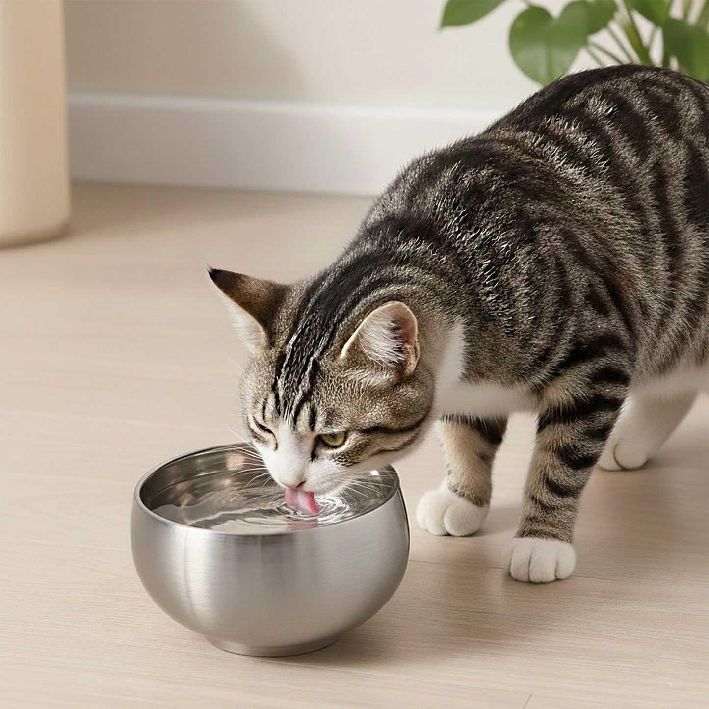 Stainless Steel Cat Bowl with Smooth Interior for Food and Water