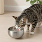 Stainless Steel Cat Bowl with Smooth Interior for Food and Water