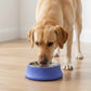Stainless Steel Dog Bowl with Non-Slip Base, Square Feeding Bowl for Food and Water