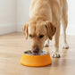 Stainless Steel Dog Bowl with Non-Slip Base, Square Feeding Bowl for Food and Water