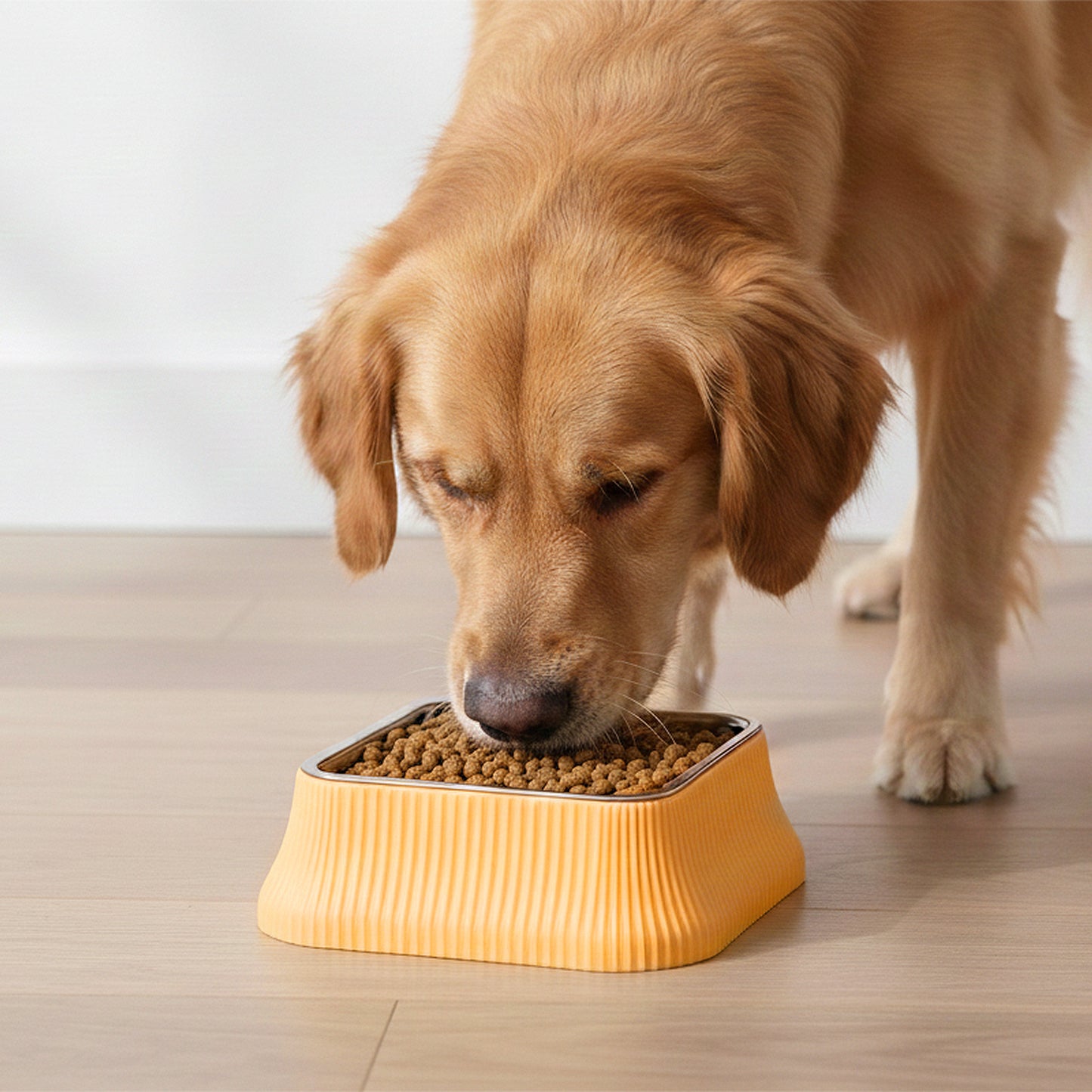 Stainless Steel Dog Bowl with Non-Slip Base and Removable Inner Bowl