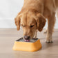 Stainless Steel Dog Bowl with Non-Slip Base and Removable Inner Bowl