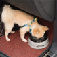 Non Spill Dog Water Bowl with Floating Disk 25 oz Car Travel Pet Water Bowl