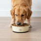 Stainless Steel Dog Bowls with Non Slip Base Easy Clean Design